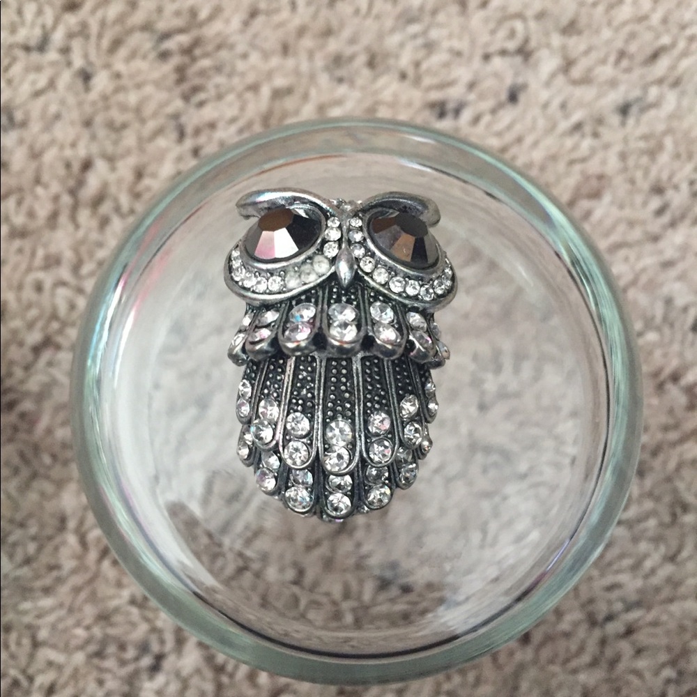 Costume owl ring.